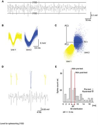 Learning and Its Neural Correlates in a Virtual Environment for Honeybees